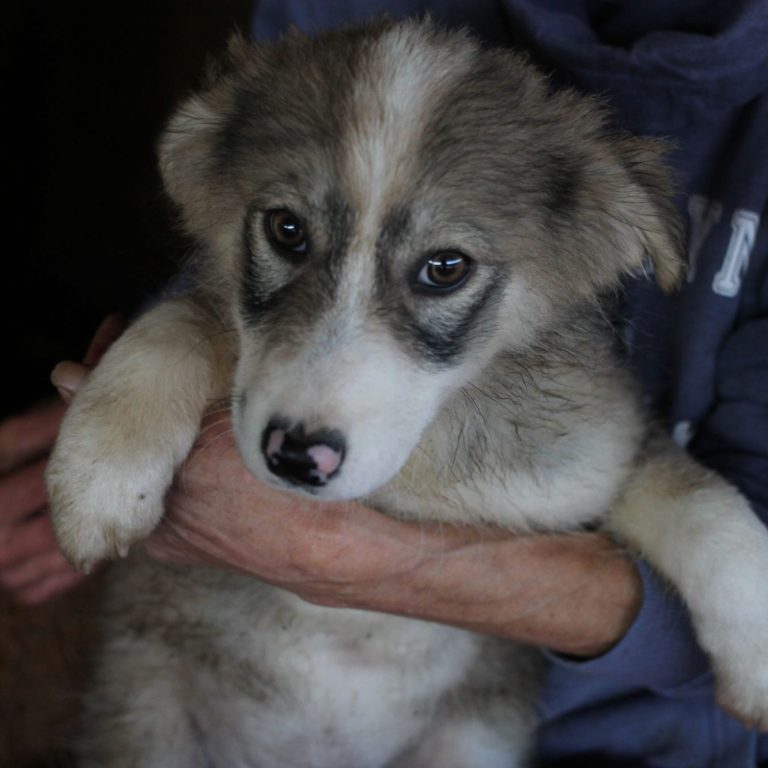 Wissenswertes Wissenswertes